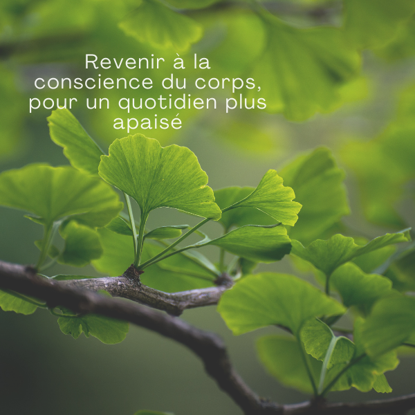 Conscience du corps et apaisement