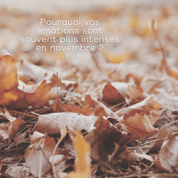 pourquoi les émotions sont elles plus intenses en novembre